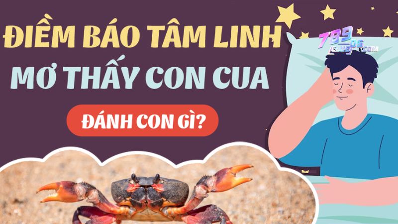 Nằm mơ thấy cua biển đánh số gì? Đi biển nằm mơ thấy cua biển đánh số gì?